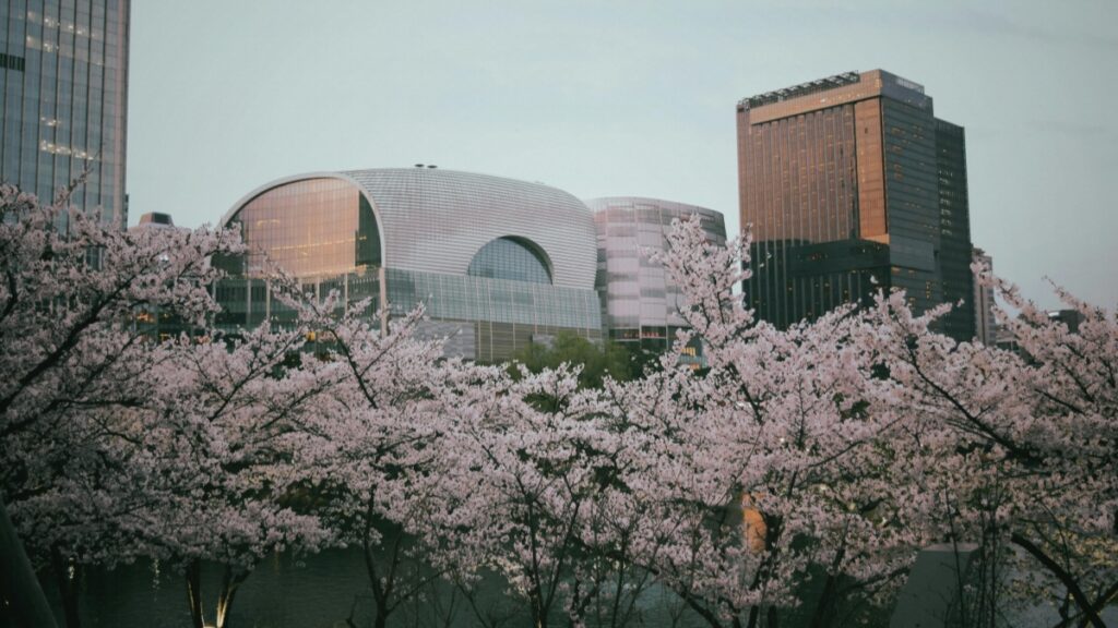 How North Macedonia Snapchat bloggers can collaborate with South Korea advertisers in 2025