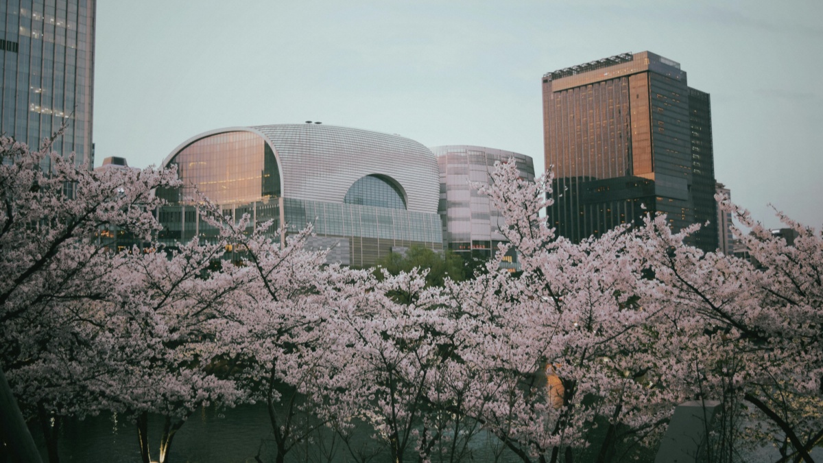 How North Macedonia Snapchat bloggers can collaborate with South Korea advertisers in 2025