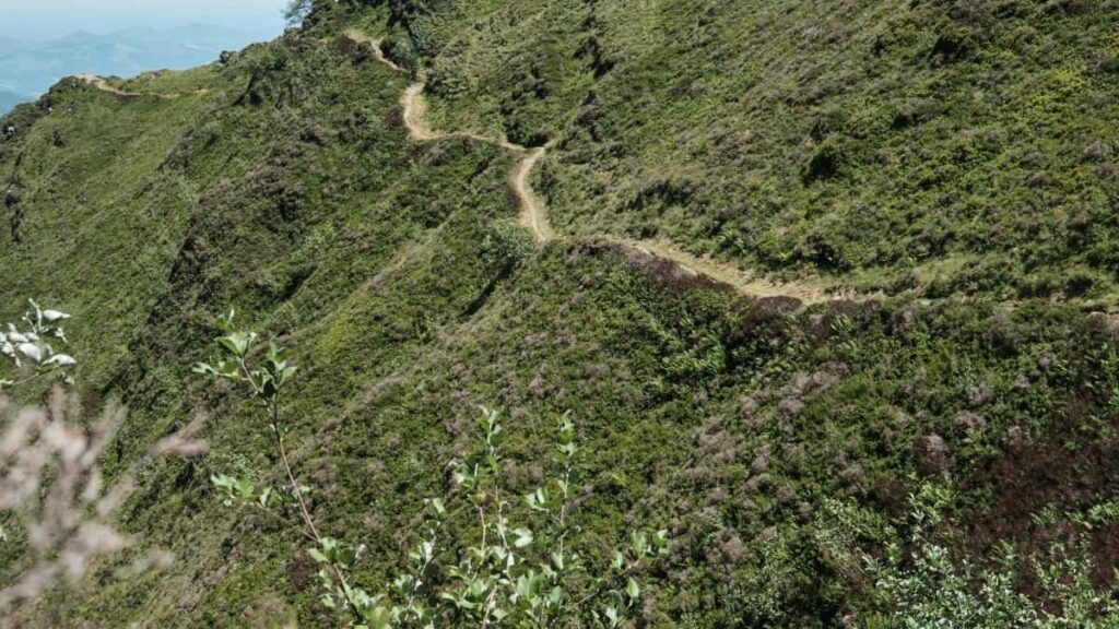 2025 Brazil Pinterest сите категории рекламни цени за Северна Македонија