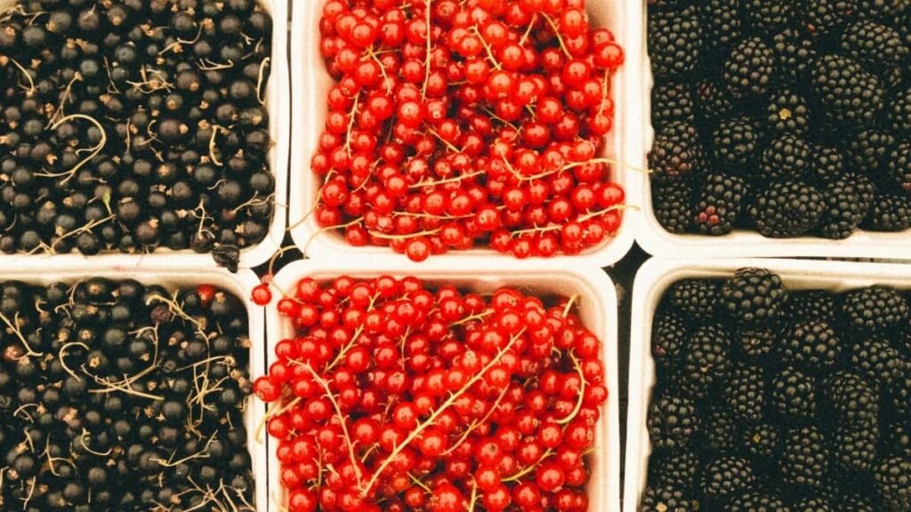 2025 Canada Snapchat реклама тарифа за Северна Македонија