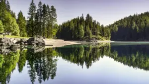 Практичен водич за огласувачи од Северна Македонија: како да лоцирате, верификувате и ангажирате Brazil Rumble креатори за соработки со стил/мода инфлуенсери.