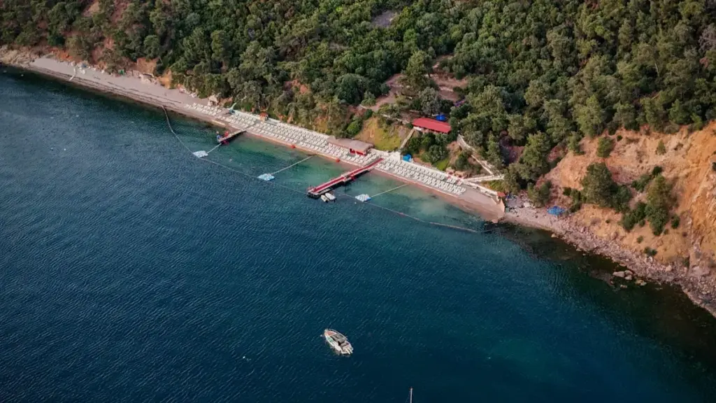 Практичен водич за креатори од Северна Македонија: како да ги допрете белгиските брендови преку Douyin и да креирате платени туторијали.