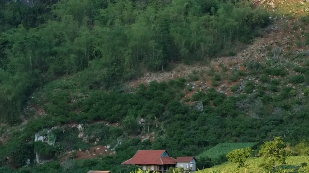 Практичен водич за креатори од Северна Македонија: како да ги лоцирате, пристапите и да склопите успешни крос-промоции со брендови од Јужна Африка преку Telegram и соседни канали.