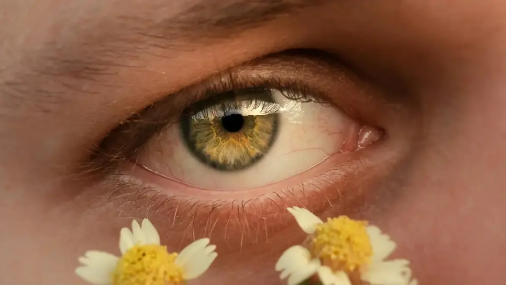 Практичен водич за брендовите од Северна Македонија: како да најдете и ангажирате Telegram креатори од Обединето Кралство за локализирани пораки и повисока конверзија.