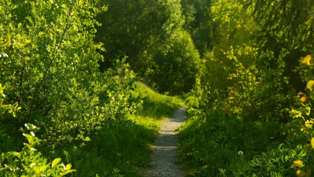 Практичен водич за маркетери од Северна Македонија: како да лоцирате Oman OnlyFans креатори и да ги пренасочите нивните публики кон фитнес апликации, со ризици, тактики и приватностни совети.