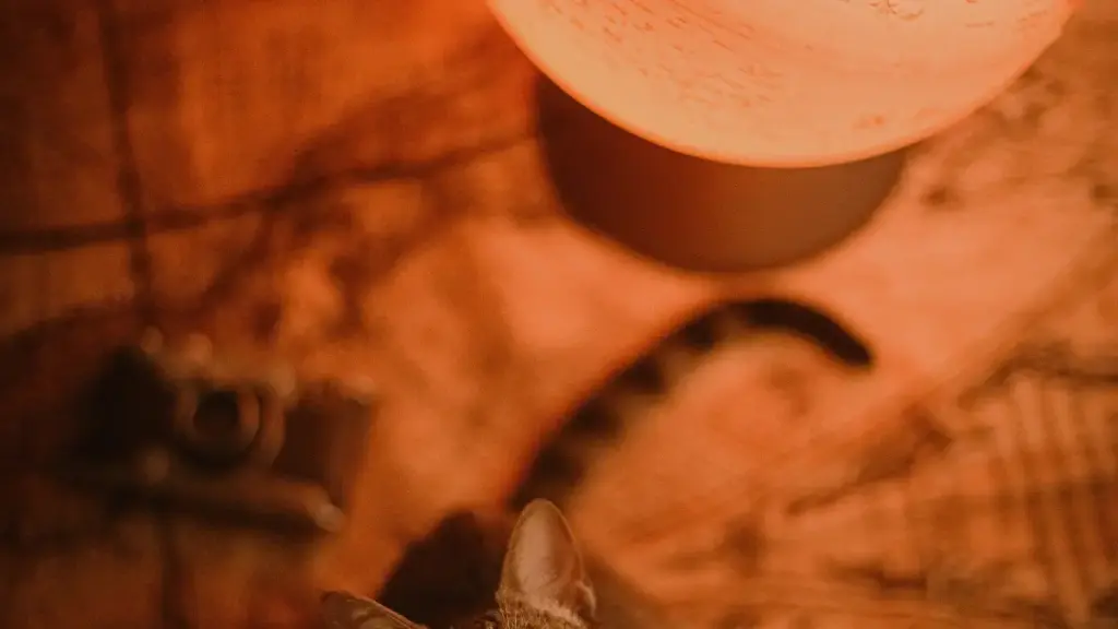 Практичен водич за креатори од Северна Македонија: чекори, канали и тактики за да допрете до норвешки брендови на HBO Max и договорите за gameplay предизвици.