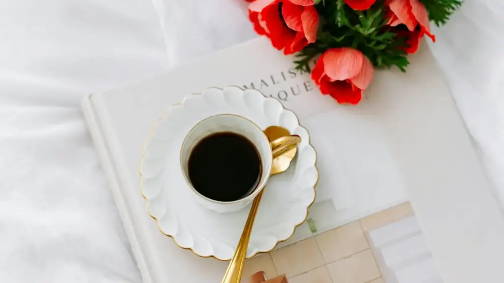 Практичен водич за креатори од Северна Македонија: стратегии за да стигнете до нигериски бренди на Disney Plus и да монетизирате содржини преку партнерства, CTV реклами и шопабилни кампањи.