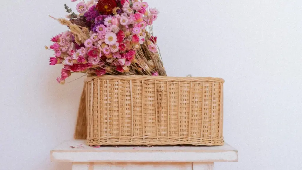 Практичен водич за македонски креатори: како да допрете до урогвајски брендови преку Twitch и да создадете UGC можности — стратегии, пример сценарија и чекори за пазарно позиционирање.