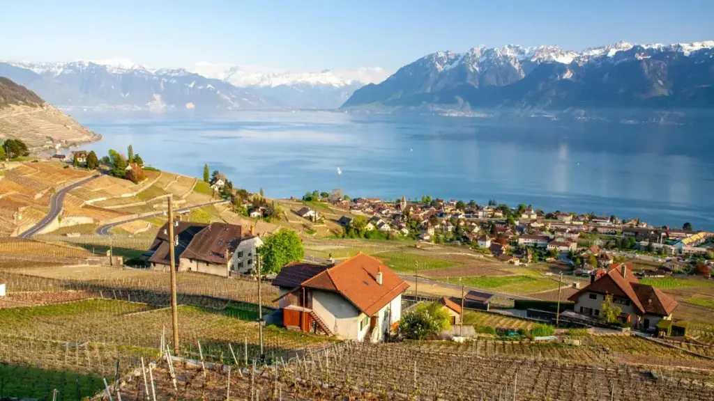 Практичен водич за маркетери од Северна Македонија: каде и како да најдете Costa Rica Twitch креатори, кој тип на нишни публики ќе достигнете и што да очекувате од стратегијата.
