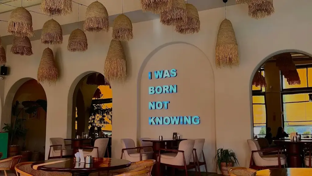 Практичен водич за македонски огласувачи: каде и како да најдеш алжирски креатори на Xiaohongshu, што работи за конверзија и кои стратегии ги претвораат ангажманите во вистински лидови.