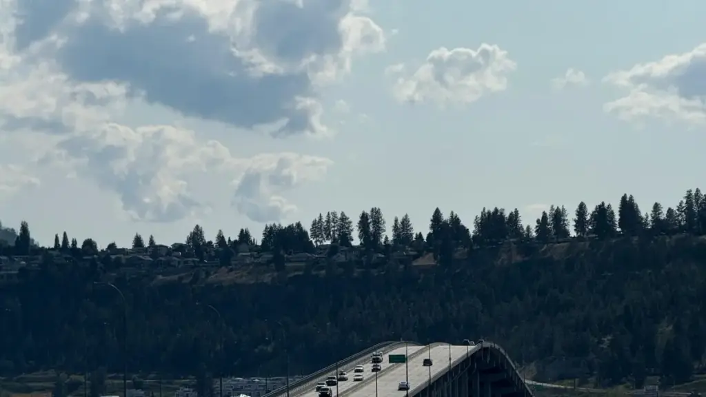 Практичен водич за огласувачи од Северна Македонија: како да ги најдете и ангажирате Монголските Twitter креатори за сериско учење водено од креатори.