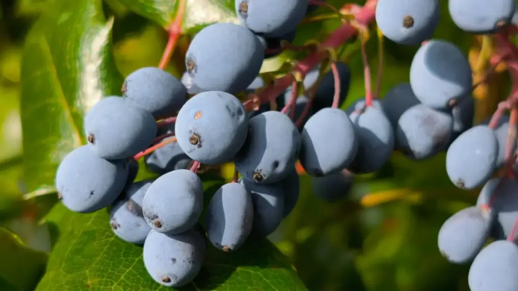 Практичен водич за маркетери од Северна Македонија: каде и како да најдете квалитетни Qatar Pinterest креатори за creator‑led туторијал серии, чек‑лист и тактики што работат во 2025.