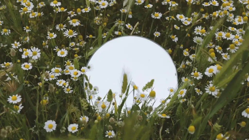 Практичен водич за рекламодатели од Северна Македонија: каде и како да најдете и да соработувате со креатори од Кенија преку WhatsApp за dance challenges.