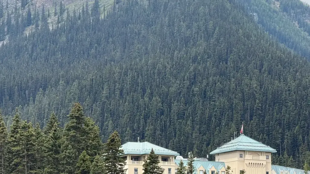 Практичен водич за маркетери од Северна Македонија: како да најдете и ангажирате Qatar Douyin креатори за соработки со стил инфлуенсери, вклучувајќи локални тактики, пример кампании и ризици.