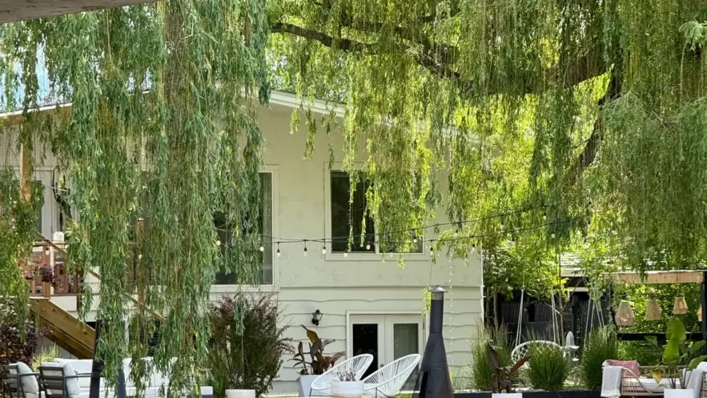 Практичен водич за креатори од Северна Македонија: тактики, примери и алатки за да стигнете до фински брендови на Chingari и да добиете нова публика.