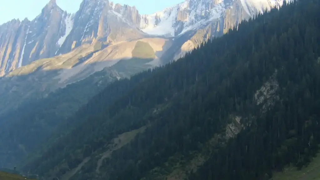 Практичен водич за огласувачи од Северна Македонија: каде да ги најдете чешките Disney+ креатори, како да ги договорите за лимитирани drops и кои платформи/анкети работат најдобро.