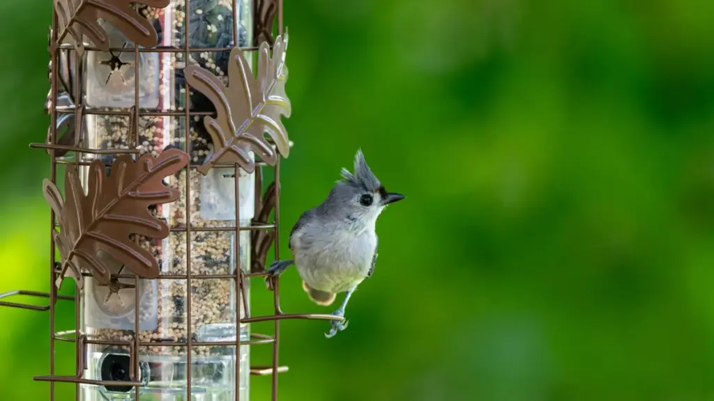 Практичен водич за маркетери од Северна Македонија: како да лоцирате, проверите и ангажирате казахстански WeChat креатори за кампањи кои продаваат.