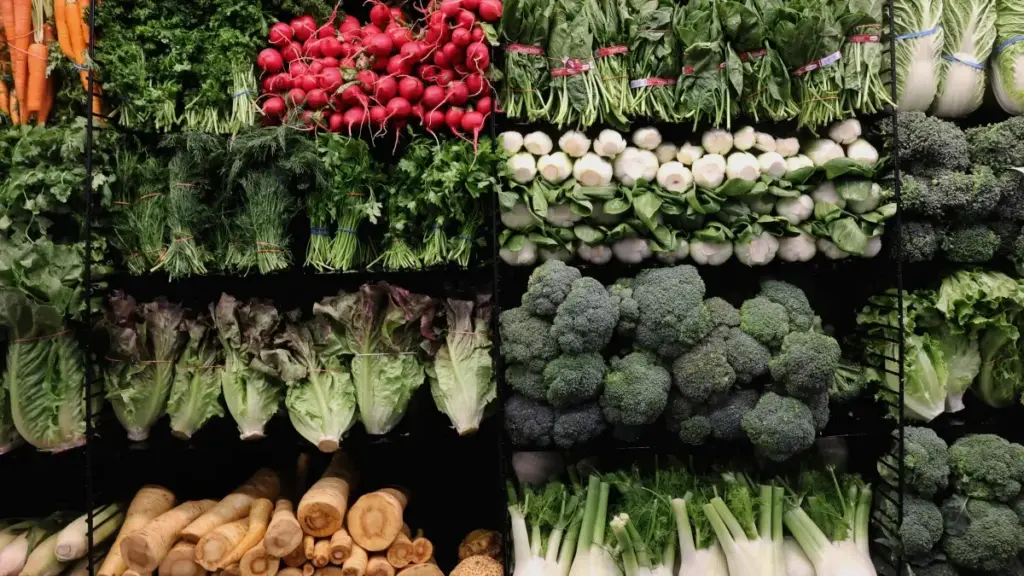 Практичен водич за креатори од Северна Македонија: чекори, тактики и алатки за да стигнете до костарикански брендови на Takatak и да споделите локални, „hidden‑gem“ приказни.