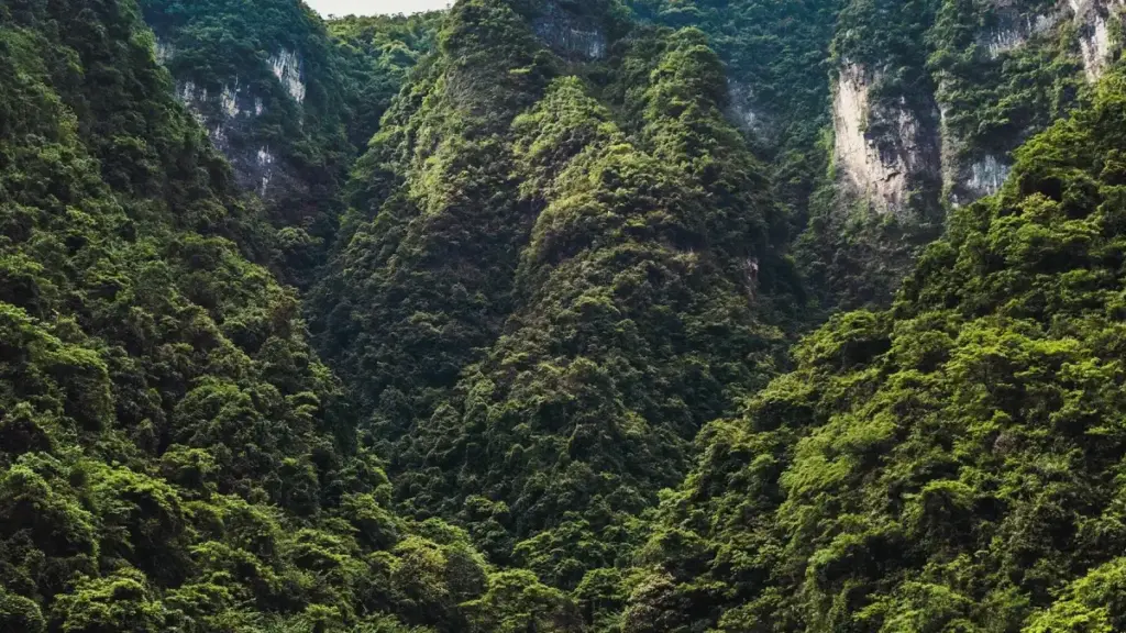 Практичен водич за маркетери од Северна Македонија: каде и како да ги најдете колумбиските Twitch креатори за да водат сезонски промоции и зголемат конверзии.