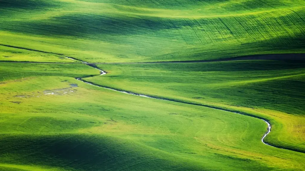 Практичен водич за македонски рекламисти: каде и како да најдете креатори од Доминиканска Република на Clubhouse и поврзани платформи за да генерирате вирусни видеа.