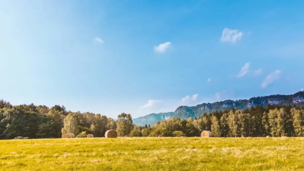 Практичен водич за огласувачи од Северна Македонија: каде и како да најдете малезиски Twitter creatori за тестирање пазарна побарувачка, со локални тактики, платформи и чекори.