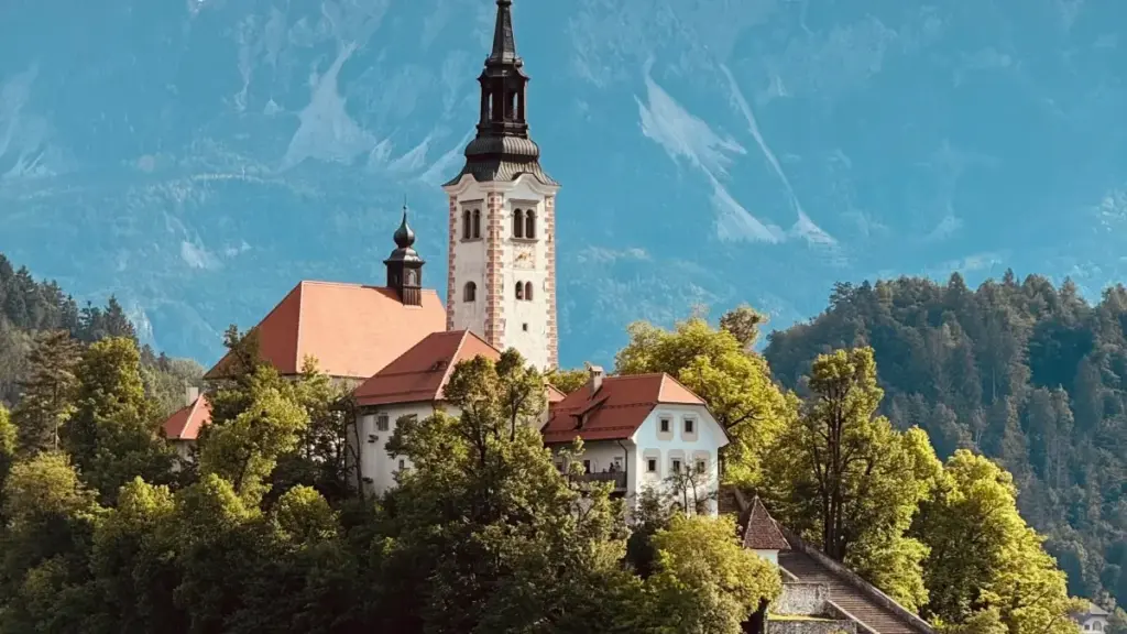 Практичен водич за македонски огласувачи: како да најдете и ангажирате Kenya Moj креатори за да зголемите продажба на онлајн продавница.