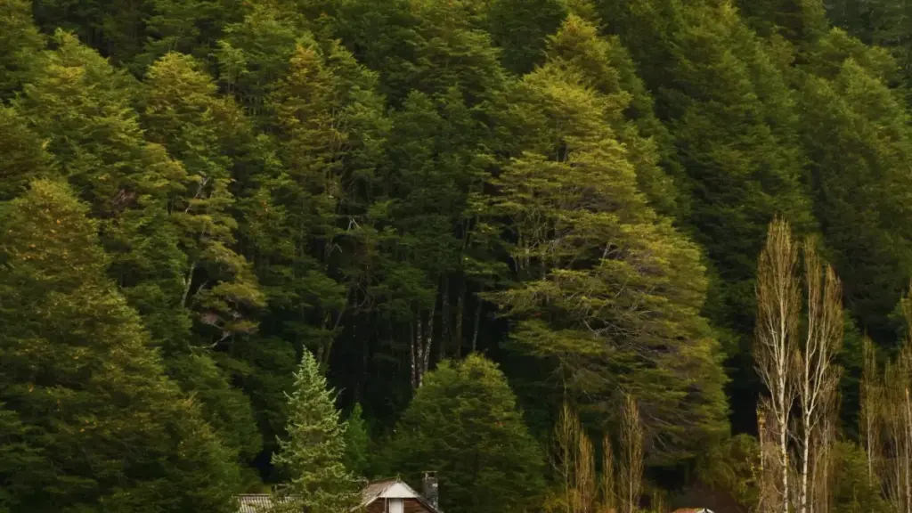 Практичен водич за креатори од Северна Македонија: стратегии, пораки и примери како да контактирате Myanmar брендови на Facebook и да добиете UGC (user‑generated content) можности.