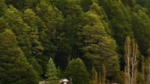 Практичен водич за креатори од Северна Македонија: стратегии, пораки и примери како да контактирате Myanmar брендови на Facebook и да добиете UGC (user‑generated content) можности.