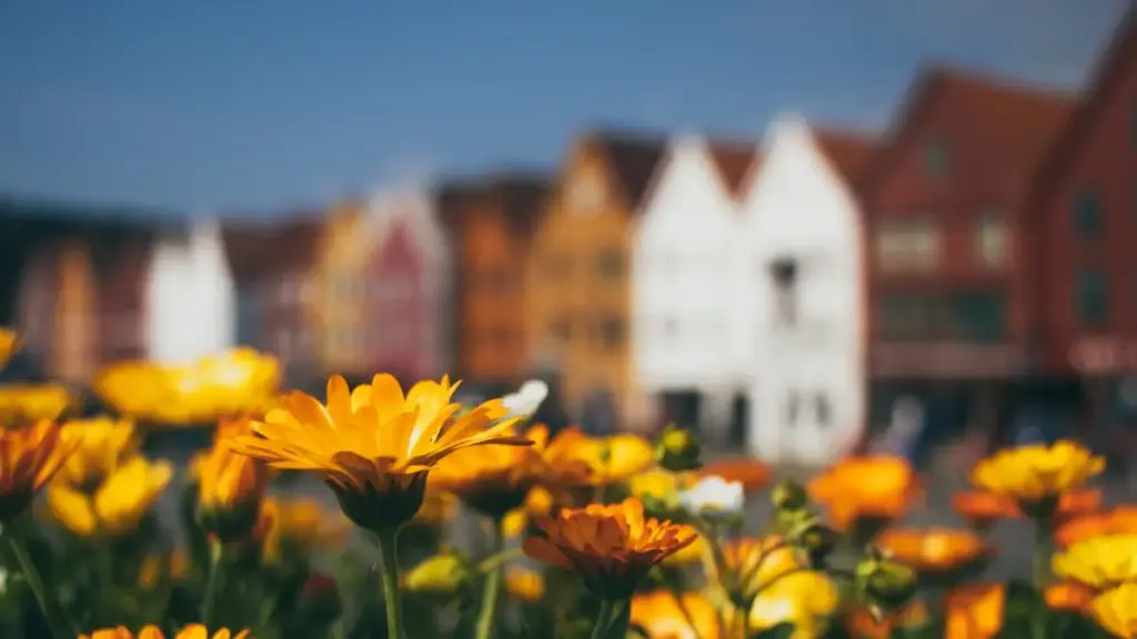 Практичен водич за автори од Северна Македонија — како да најдобиете внимание и доверба од новозеландски брендови на Etsy, со стратегии за заедница, транспарентност и микро-иновативни колаборации.