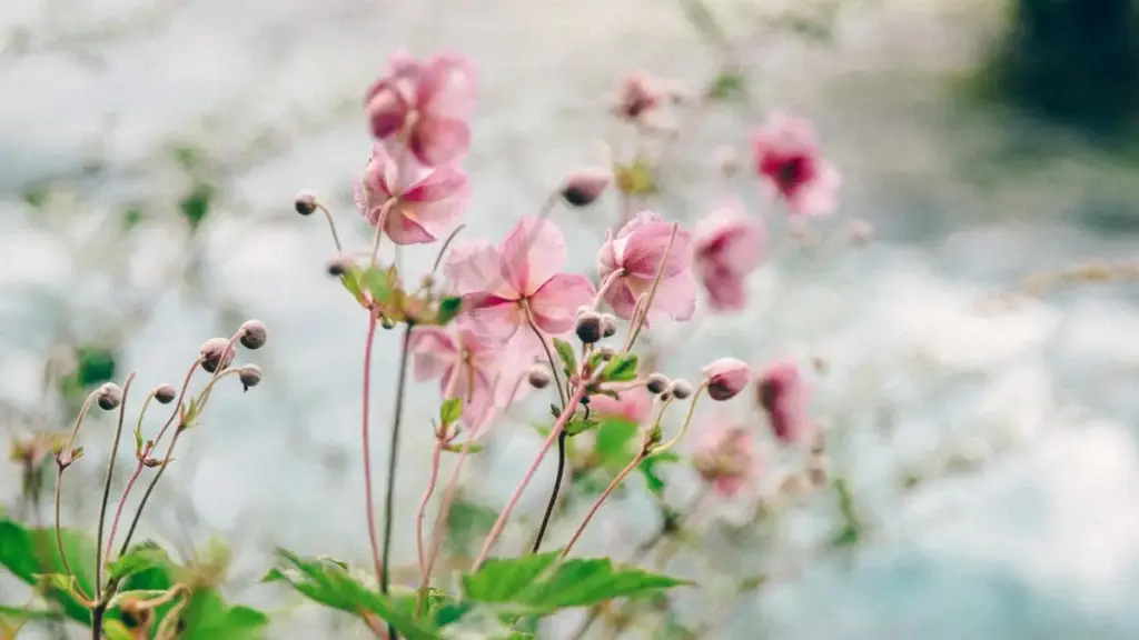 Практичен водич за маркетери во Северна Македонија: како да ги лоцирате, селектирате и ангажирате бразилски Chingari крејатори што ќе ја подигнат свесноста за нови beauty лансирања.