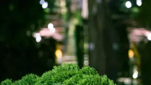 Практичен водич за креатори од Северна Македонија: стратегии, примери и чекор-по-чекор контактирање на руски брандови на YouTube за колаборативни видеа за продуктивност.