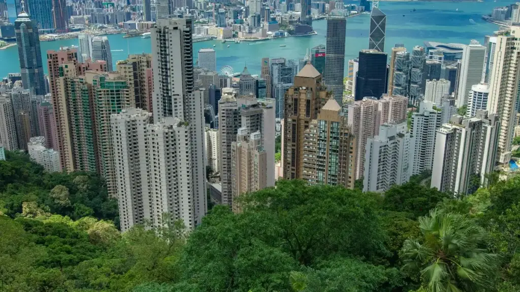 Практичен водич за пристап до брендови од ОАЕ преку Zalo: стратегии, примероци и чекори од прва рака за креатори во Северна Македонија.